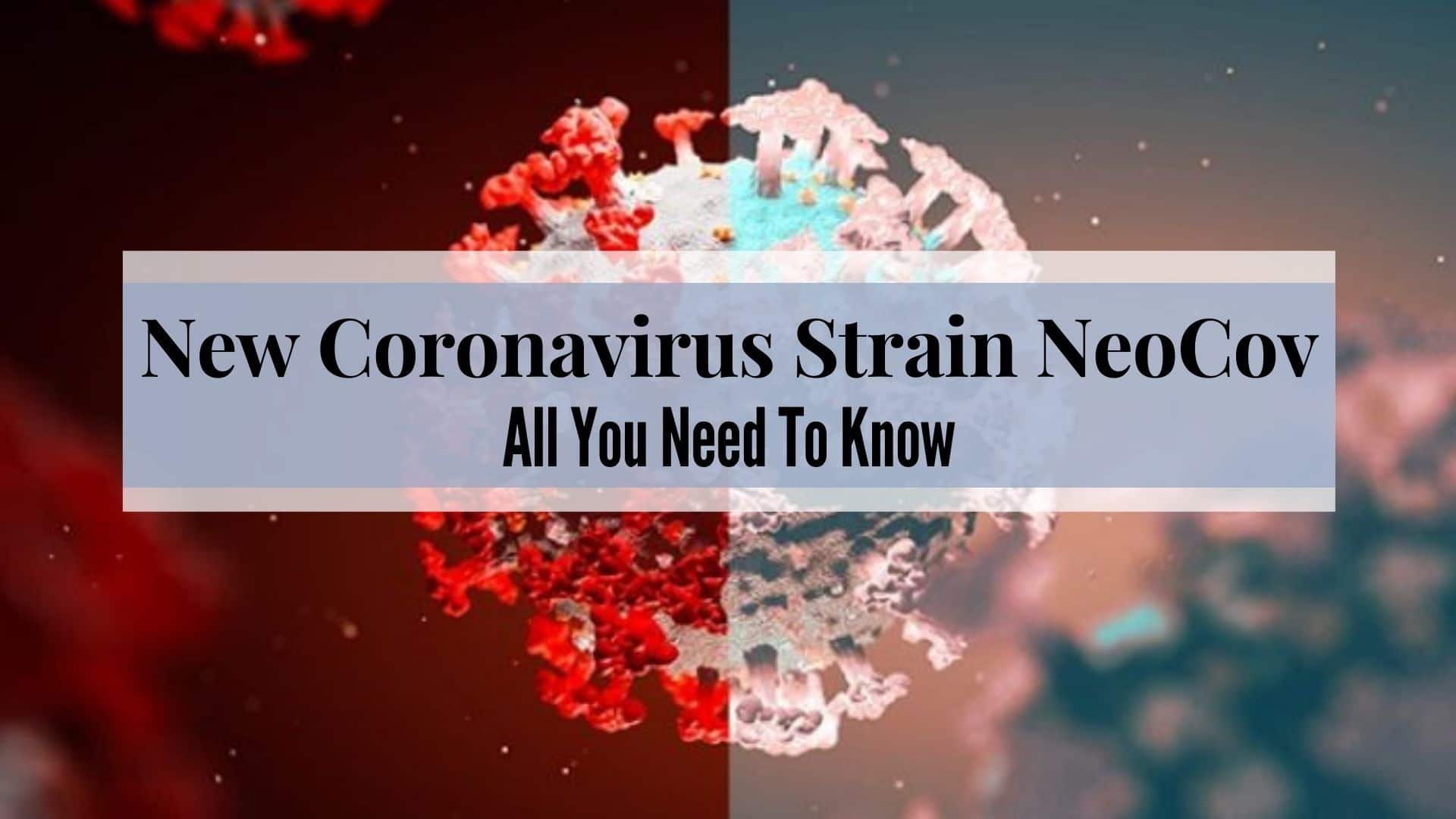 New Coronavirus Strain NeoCov: How Dangerous Is It, What Are The New Symptoms? All You Need To Know